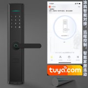 拉盯智能锁完美对接涂鸦智能 涂鸦智能锁做一个